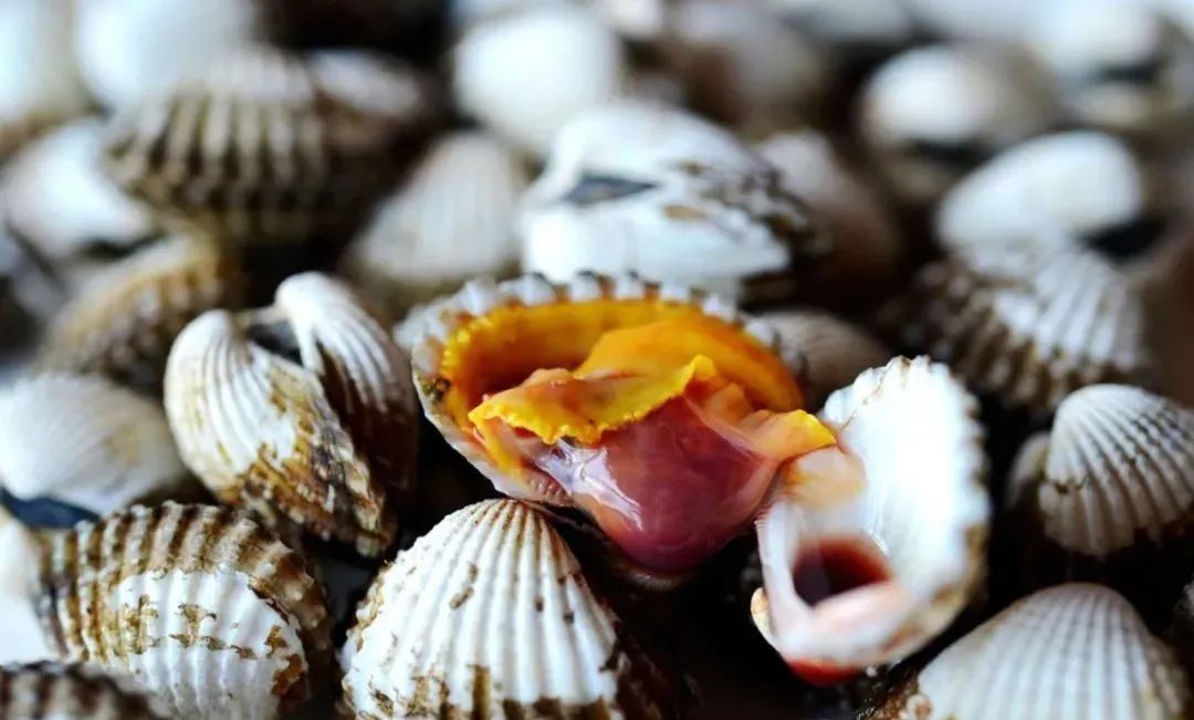 靠海吃海边海鲜,靠海吃海海鲜餐厅