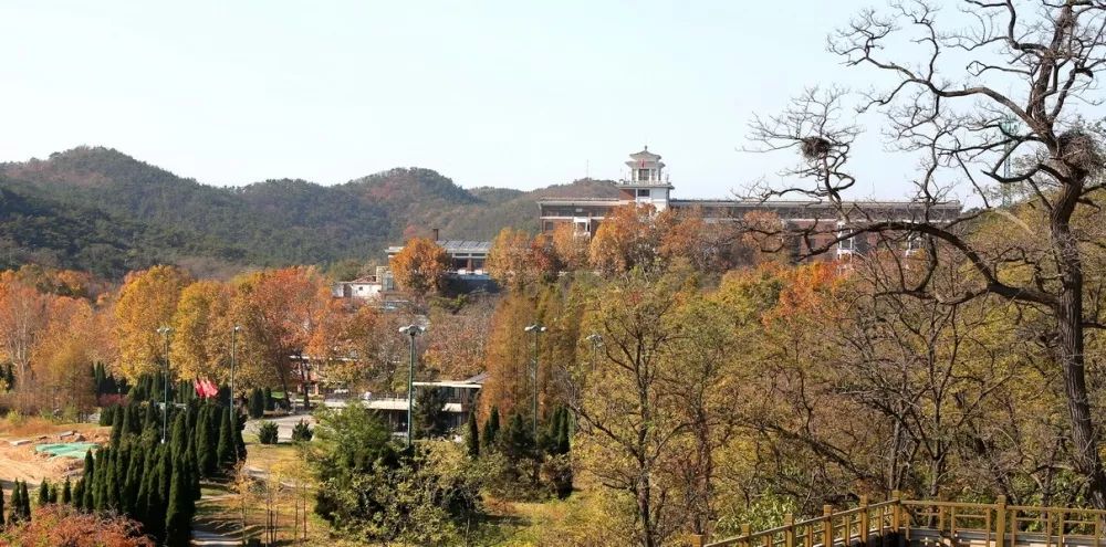 大连棒棰岛风景区门票多少钱,大连棒棰岛现在对外免费开放吗