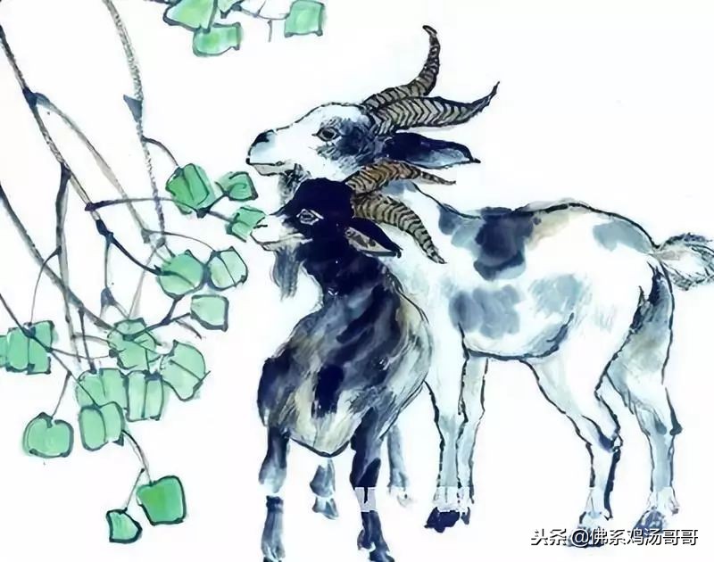 2019年运气好的属相,属相在2019年的运势