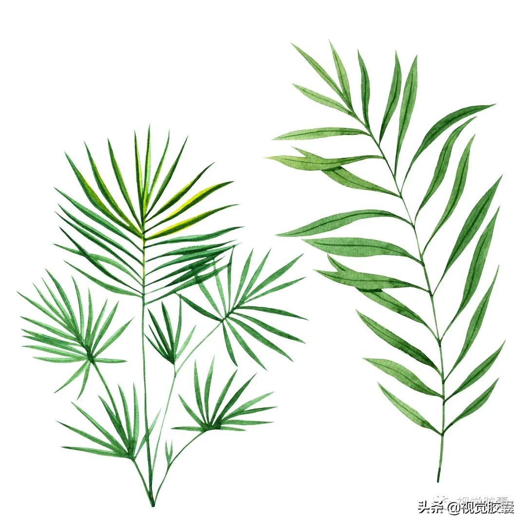 乡村蔬菜大棚的设计,蔬菜精美设计图片