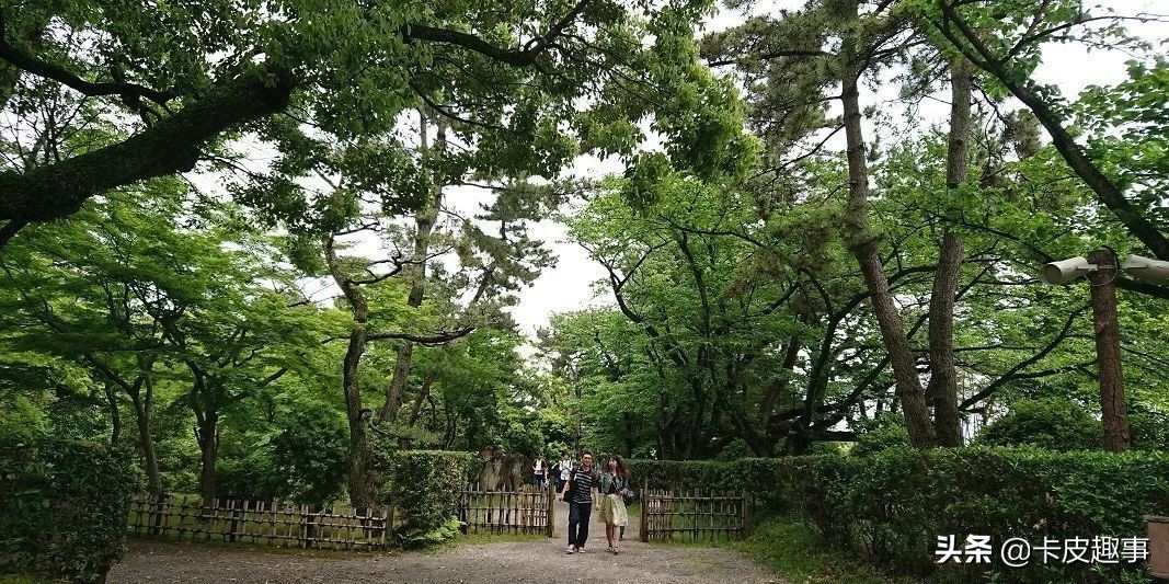 五一去日本看樱花,五一假期日本