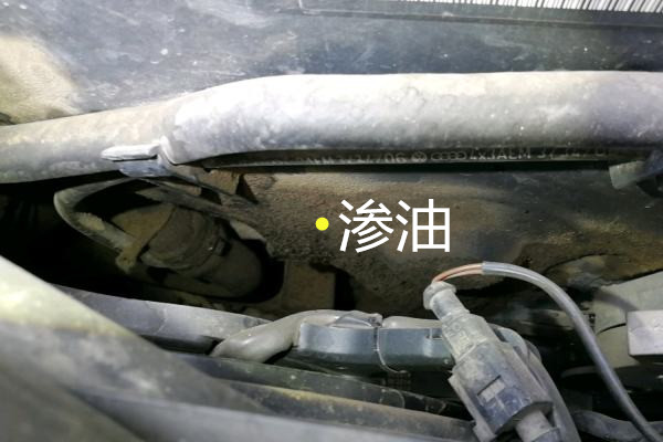 怎样鉴定事故车视频,几千块的大众领驭