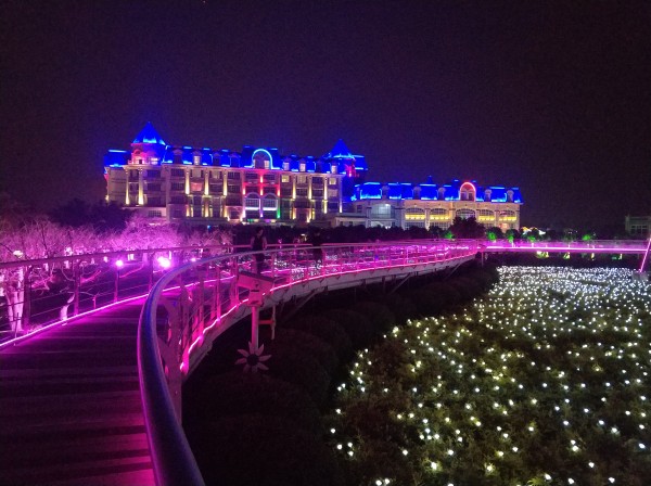 森林花海亲子游攻略,森林公园亲子游推荐