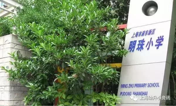上海门槛低容易进的优质小学,上海容易入学的私立学校