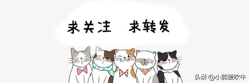 勒沃库森绝杀切尔西,切尔西与勒沃库森交手记录