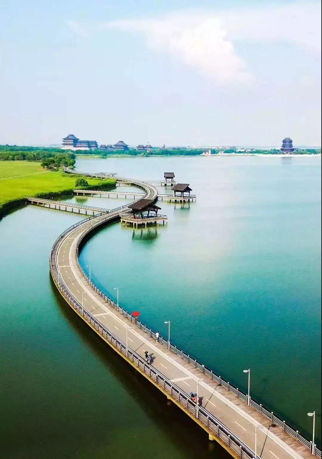 又双叒叕获奖啦,又双叒叕获奖了