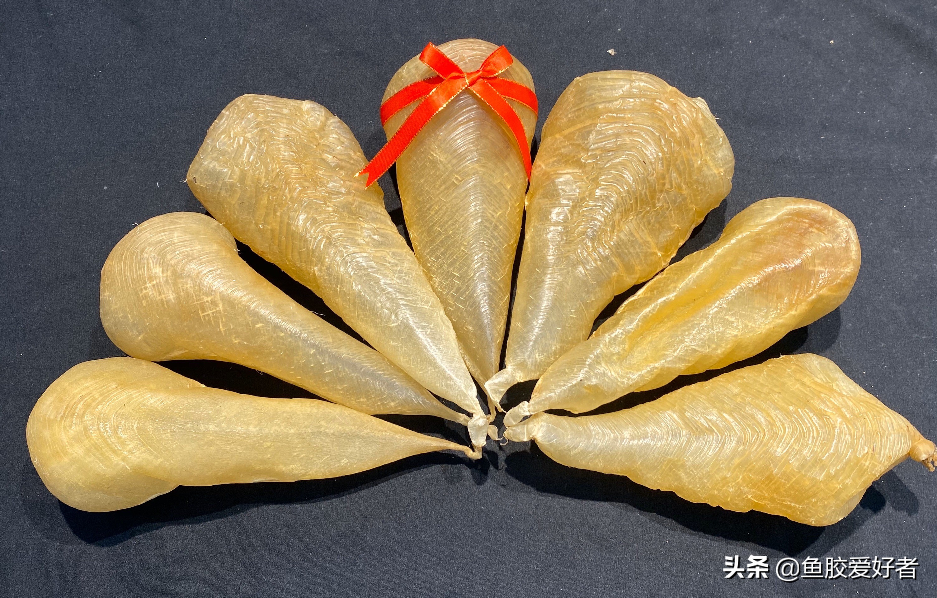 本港小白花胶与白花胶的区别,花胶白色和黄色区别