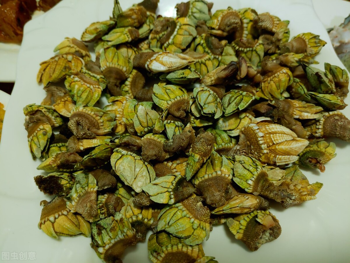 象山渔山列岛海钓,象山渔山列岛攻略