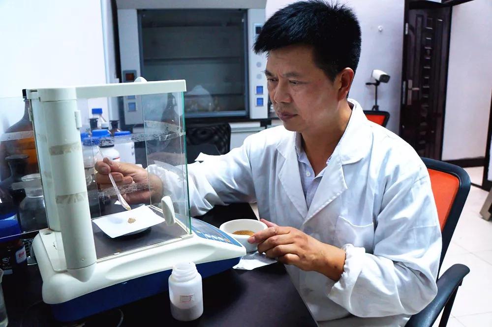 临安新鲜竹笋哪部分能吃,临安笋能生吃