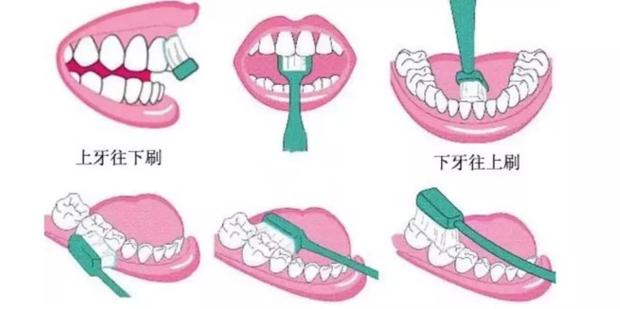 牙缝很臭?口腔有异味?你刷牙方式对过吗?