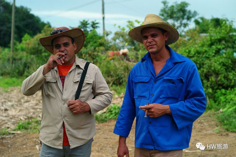古巴雪茄最根本的香气特点,古巴雪茄的真实口感