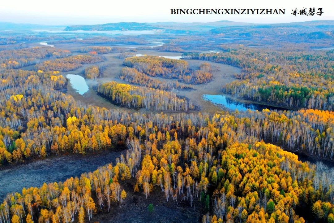 深秋的大兴安岭色彩斑斓,大兴安岭的秋天美景