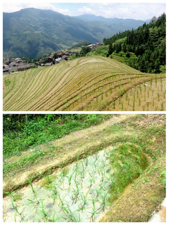 榫欒剨姊敯鏀荤暐鍙嶆淳,榫欒剨姊敯鎬紓