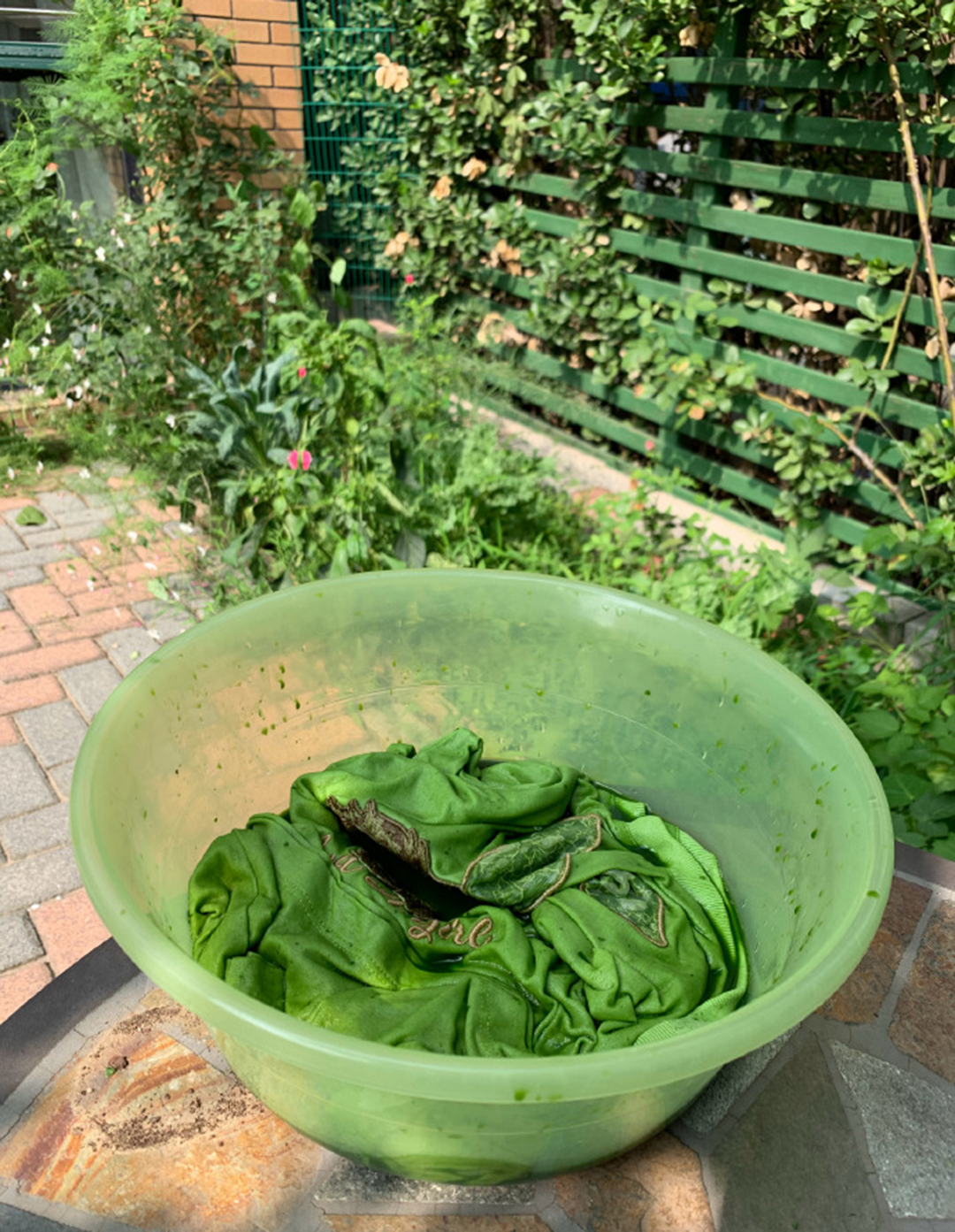 用丝瓜叶子把白T染成最近流行的牛油果绿