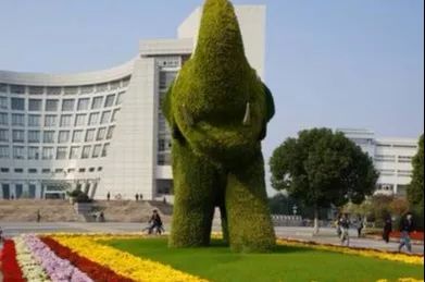 上海大学真正实力如何,上海大学被低估的专业排名