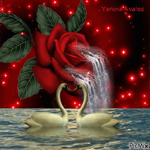 海边水中玫瑰花图片高清大图,最美山水花草倒影图片