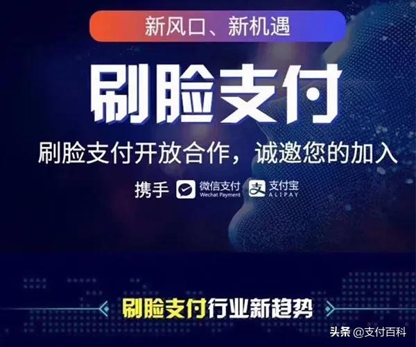 支付宝刷脸支付被骗怎么追回,支付宝刷脸支付提示诈骗怎么解决