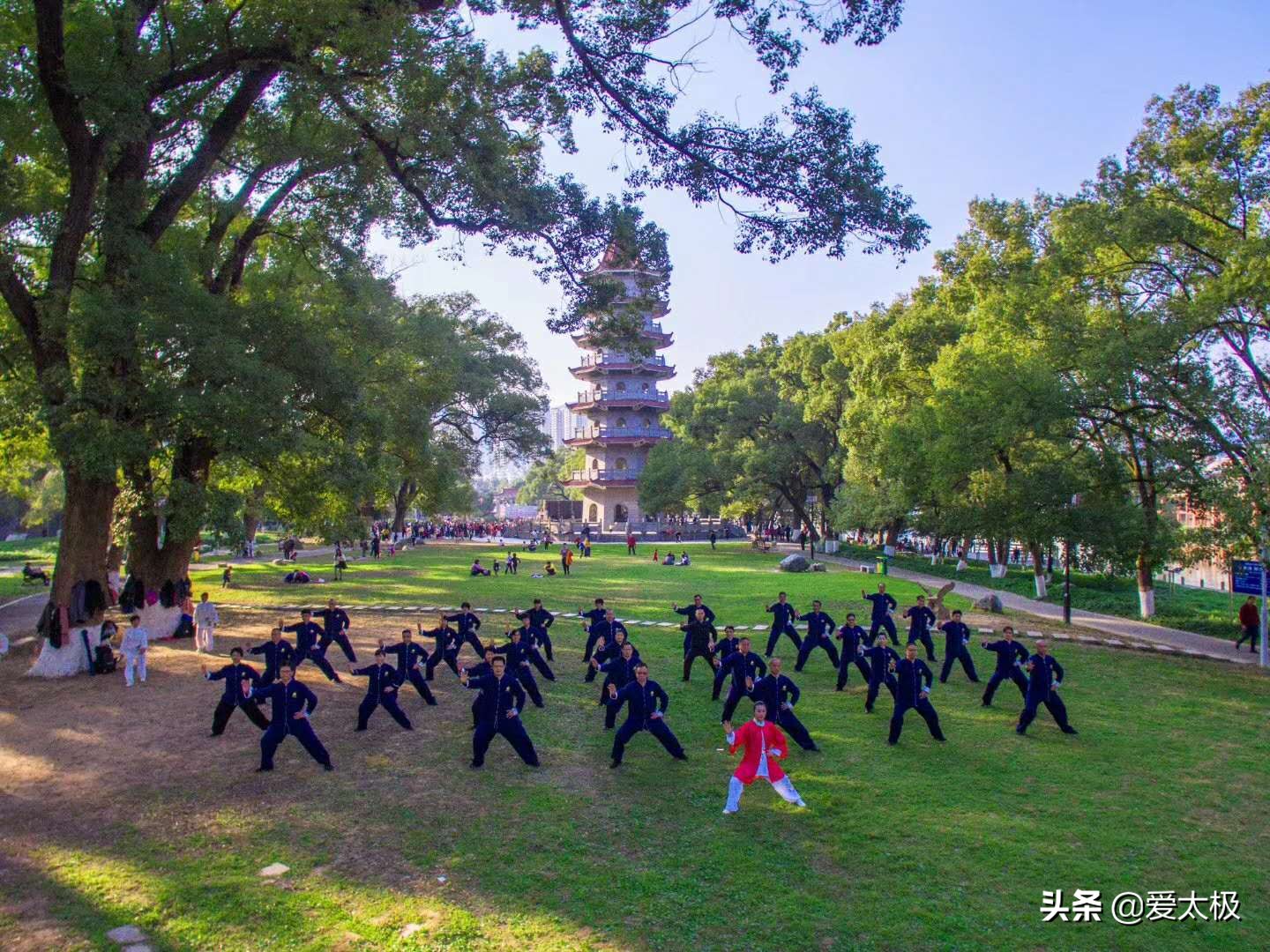 练太极拳的排毒反应,太极拳对人体精气有调养作用