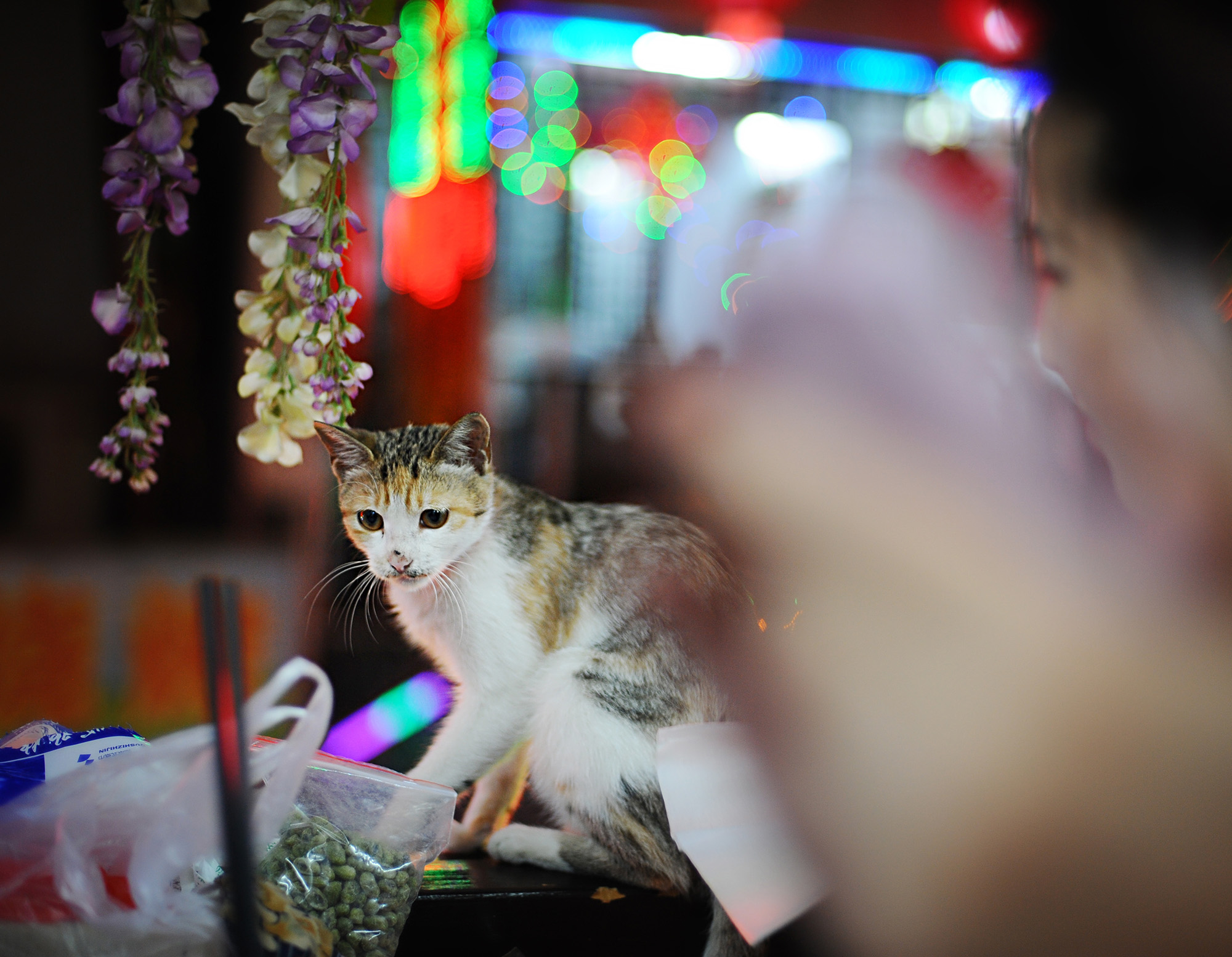 尼康2021年新相机,尼康2021年新相机及镜头展望