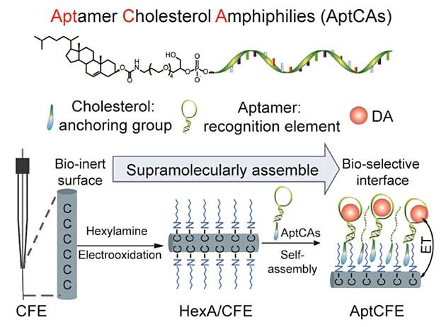 脑科学药物,脑科学日报恶性肿瘤微环境分析