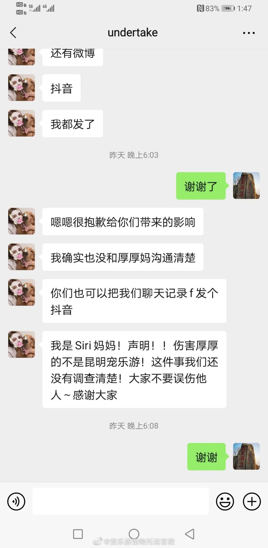 金毛siri被无良商家托运真实视频,金毛被主人丢弃了真是太可怜了