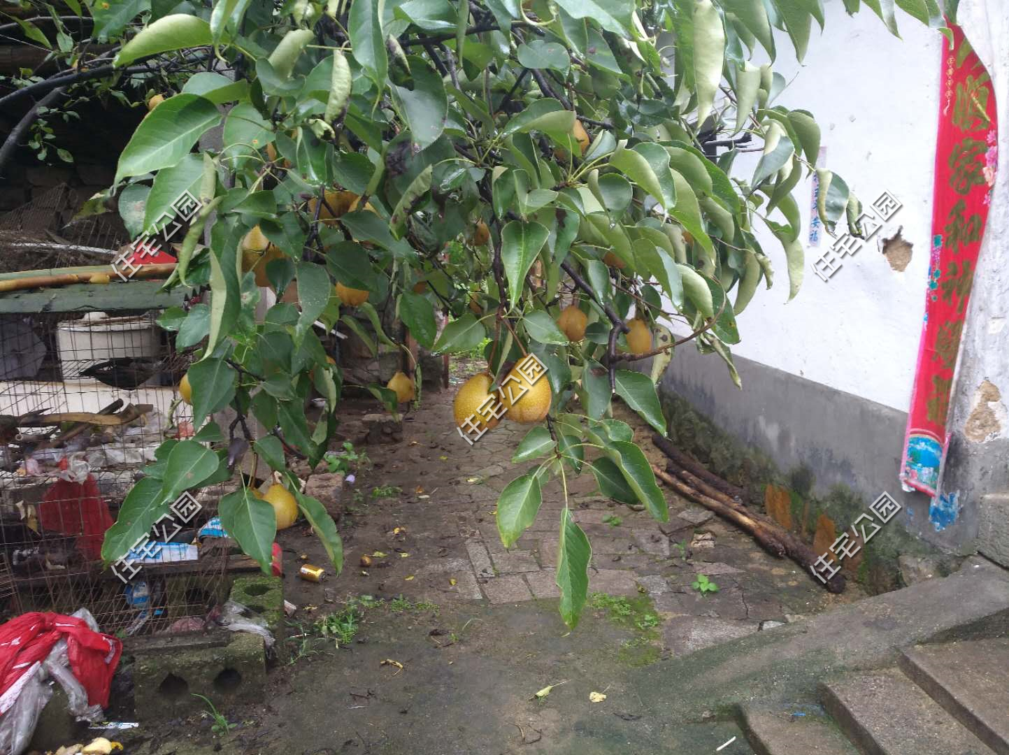 农村小伙打拼20年回乡建房,农村小伙打工10年花30万建的房子