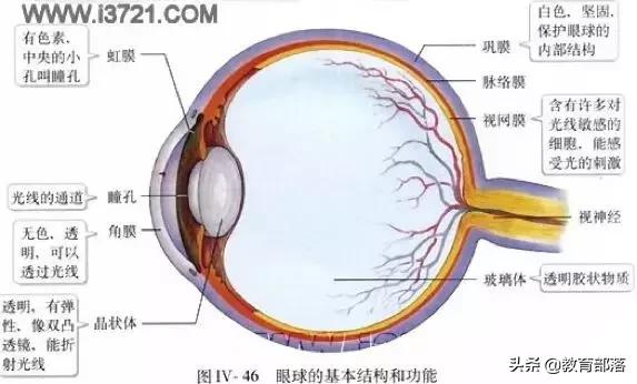 初中生物会考复习计划,初中生物会考复习资料全套