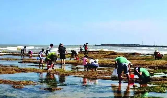 威海联合国宜居城市,威海十大宜居城市