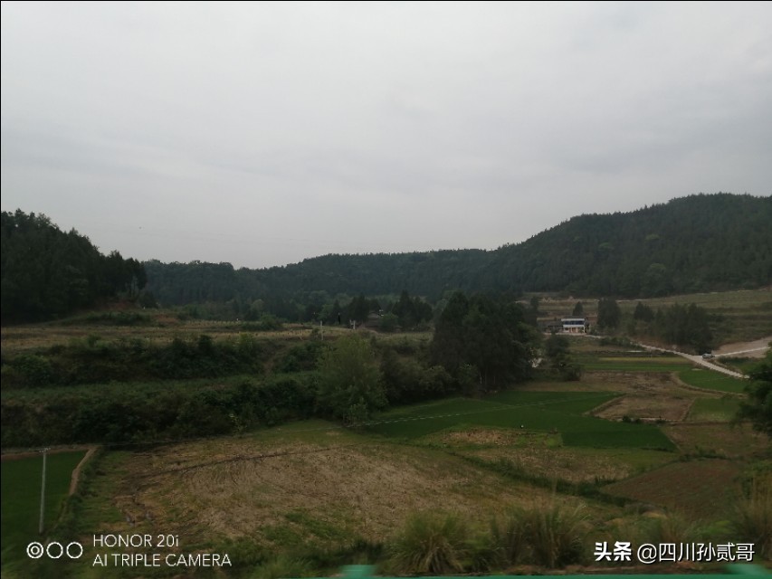 雪宝奶牛场,参观雪兰牛奶工厂心得体会