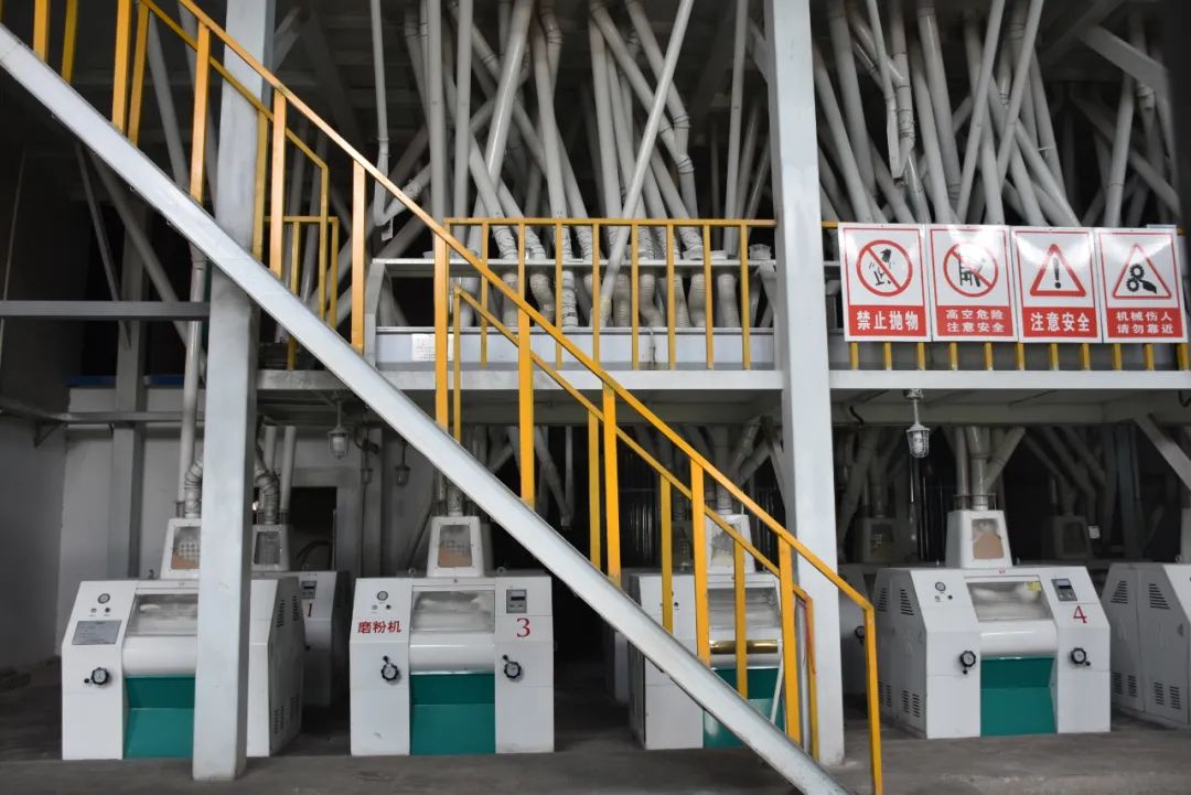 武安市绿色田园现代农业示范园区,武安绿色田园现代农业