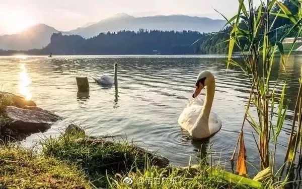 广东人少景美的小众旅行地,周末去哪里玩十大必去景点