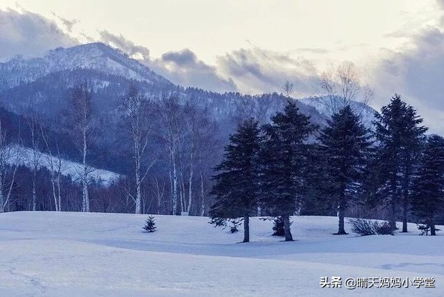 「招募」一起过圣诞~|北海道行旅，写给孩子的白色情书