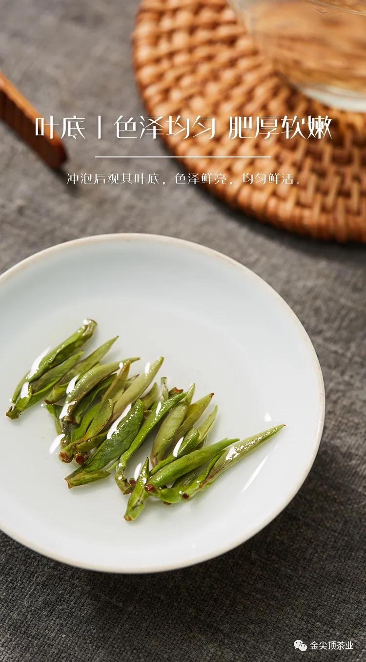 为什么白茶的价格不一样,为什么很多白茶很便宜