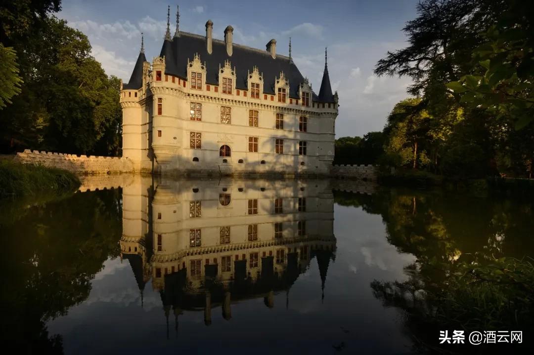 酒庄除了Château和Domaine，很多人不知道还有这些