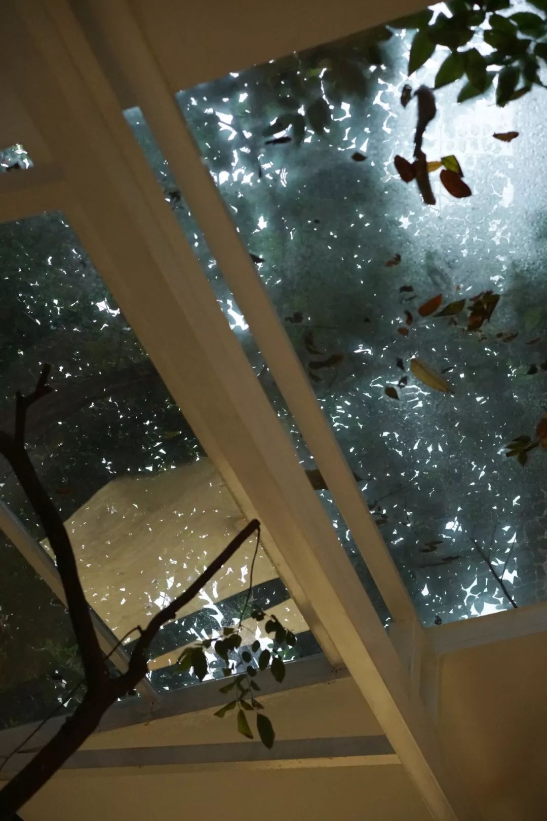 广州|咖啡因女杀手上线，实名安利7家咖啡厅