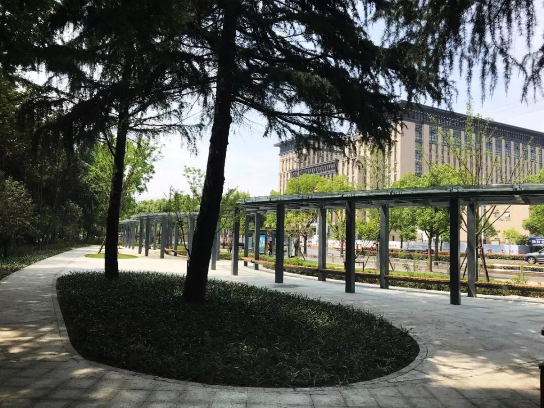 松江国际生态商务区地标,松江国际生态公园