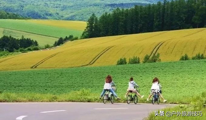 富良野一日游经典路线,日本北海道富良花海