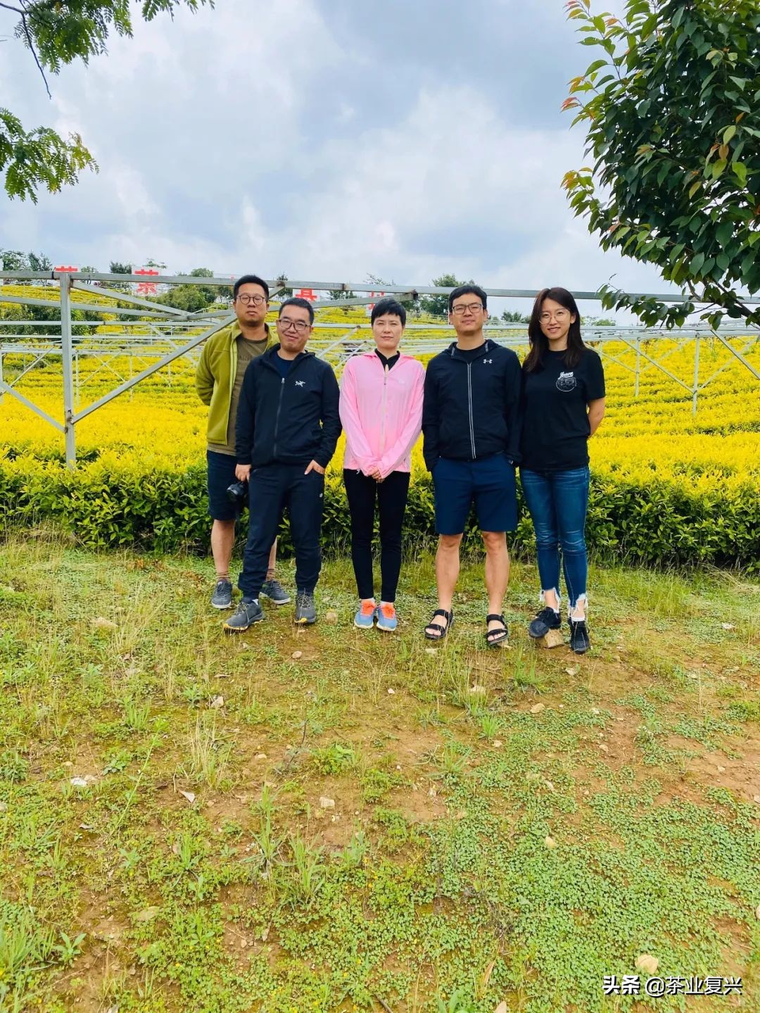 中华茶文化的弘扬与传承,新时代中国茶文化的发展传承