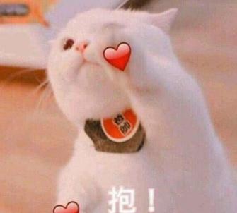 剑网3商城攻略,剑网三时装价格查询