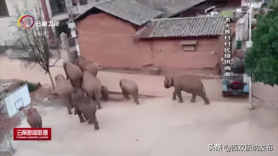 浜鸿薄鍜岃皭鍏卞,浜烘槸鎬庢牱涓庤嚜鐒跺拰璋愮浉澶勭殑浜嬩緥