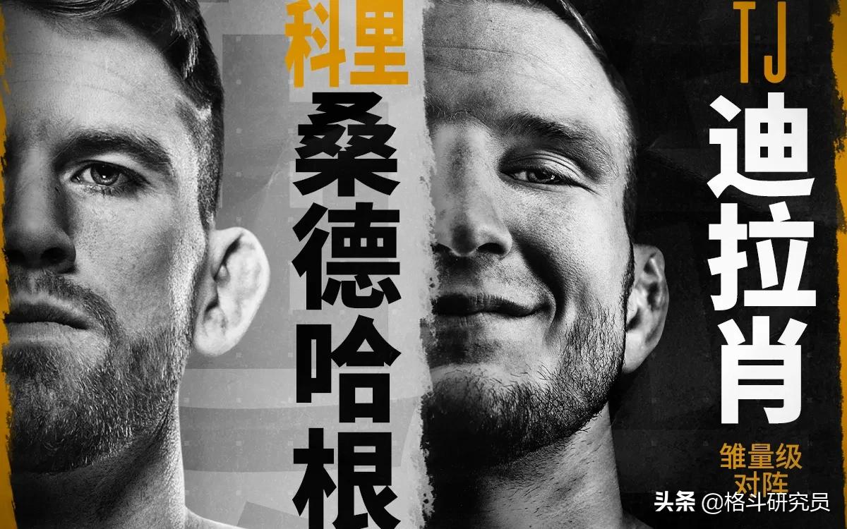 ufc比赛规则和标准,ufc比赛技术分析