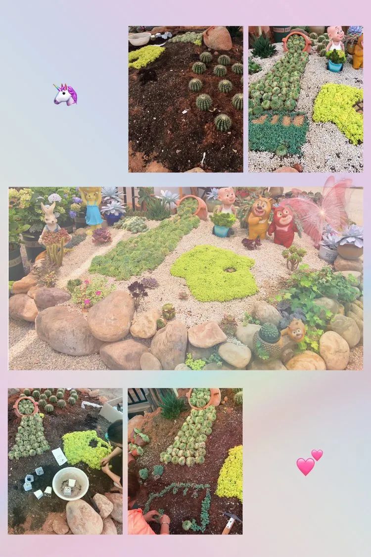 冬去春来，愿你无恙，疫情退去，养肉依旧！