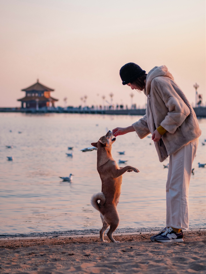 在米拍聚众吸猫吸狗是一种怎样的体验？