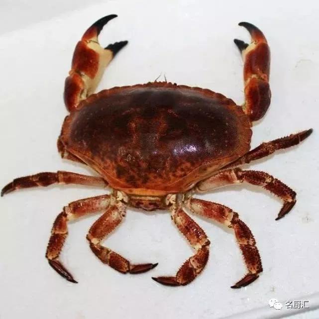 世界顶级十大海鲜,十大顶级海鲜价格排行榜