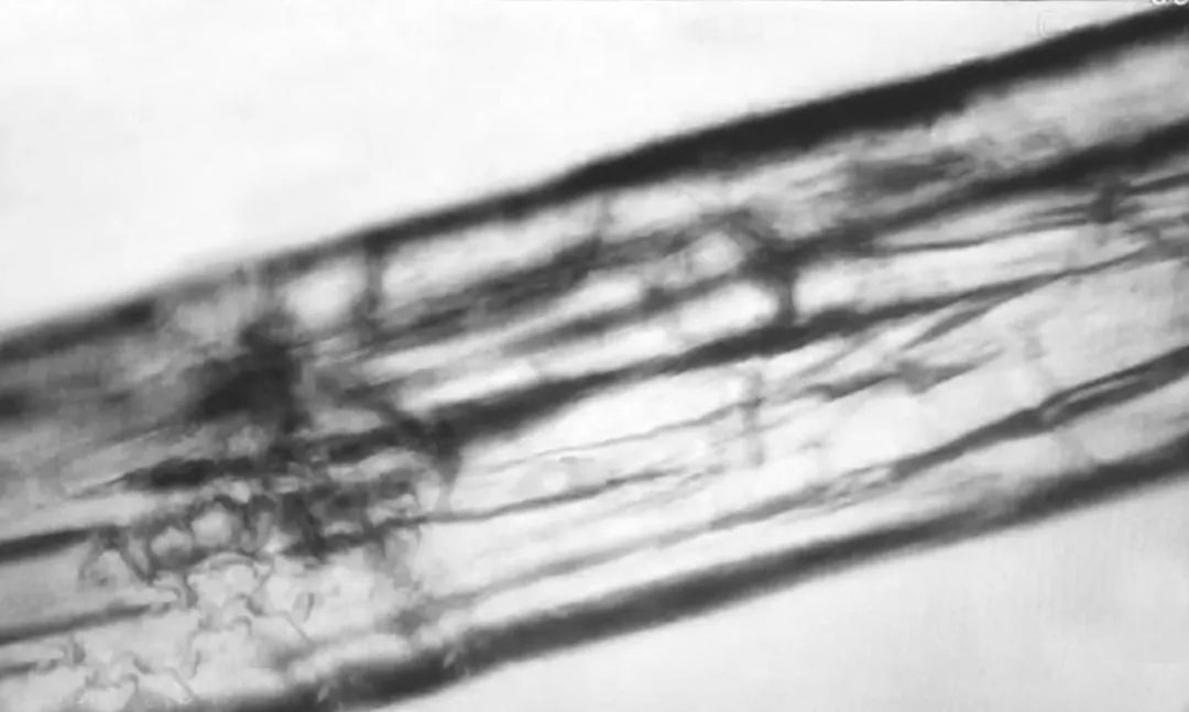 艺术家做人性实验,艺术家做手工