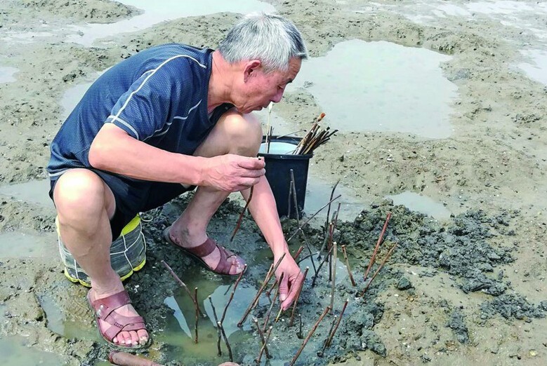 摆下八卦阵钓上蝼蛄虾赶海人一天收入200元左右