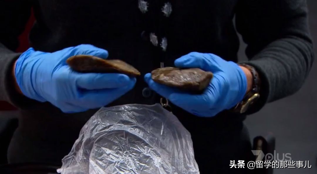 澳洲禁止入境物品最新规定,入境澳洲哪些东西能带哪些是禁带