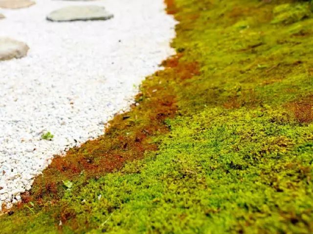 拈花湾的历史及介绍,拈花湾的来历和传说