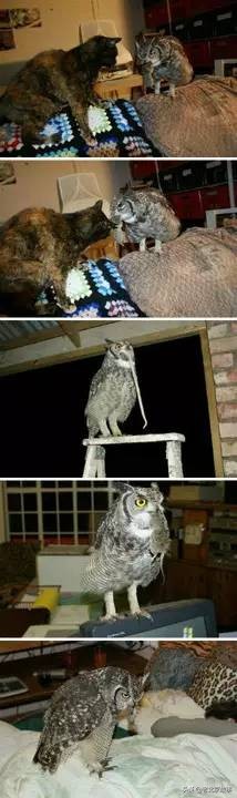 26张活久见的图片看完又涨知识了,42张照片大图