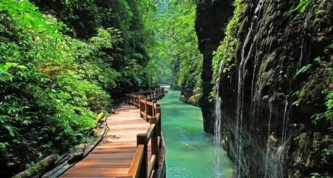 重庆夏天最好的避暑胜地有哪些,重庆适合避暑的地方有哪些